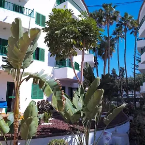https://canarian-havaii.in-canary-islands.com
